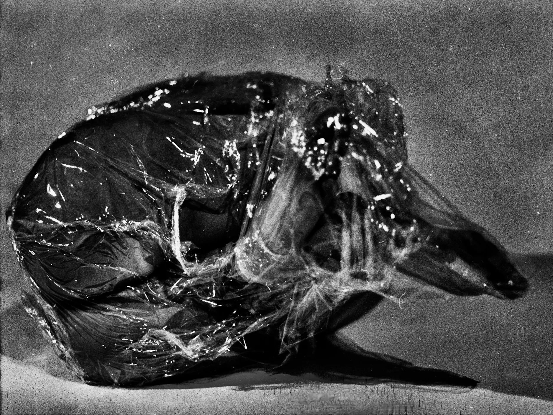 Črno-bela umetniška fotografija človeka, zvitega v klobčič, obdanega s prozorno folijo